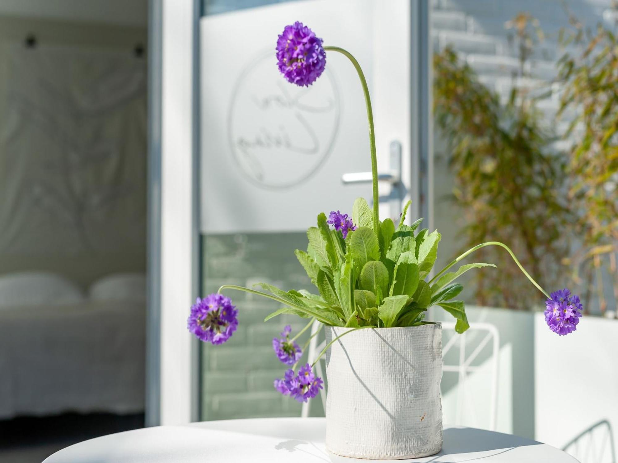 Pleasaing Holiday Home In Oostkapelle Near Centre Экстерьер фото